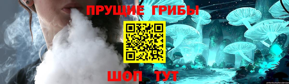 Псилоцибиновые грибы Psilocybine cubensis Якутск