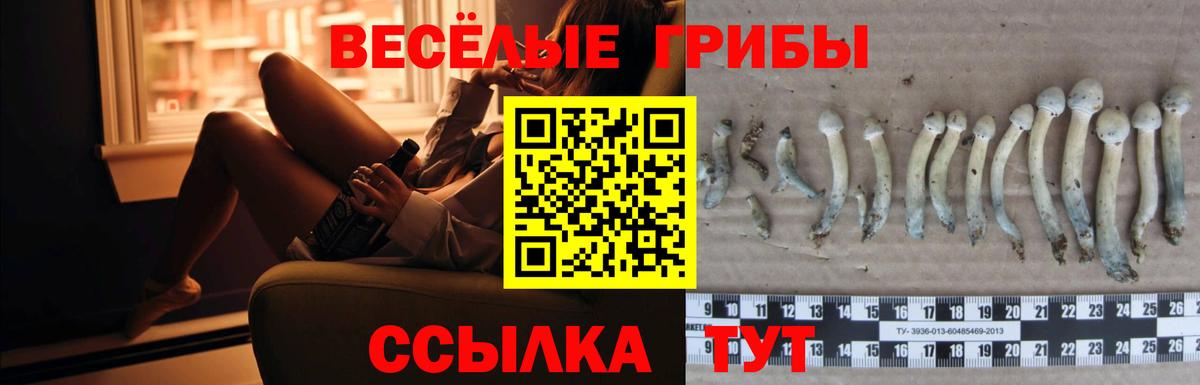 Галлюциногенные грибы ЛСД  Псилоцибиновые грибы Psilocybe  Вход с VPN  Якутск 
